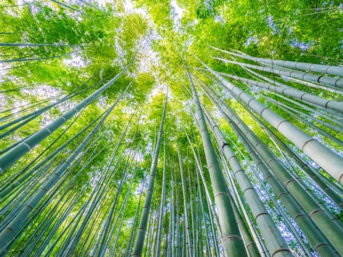 Hotel Kamakura Cocon Zewnętrze zdjęcie
