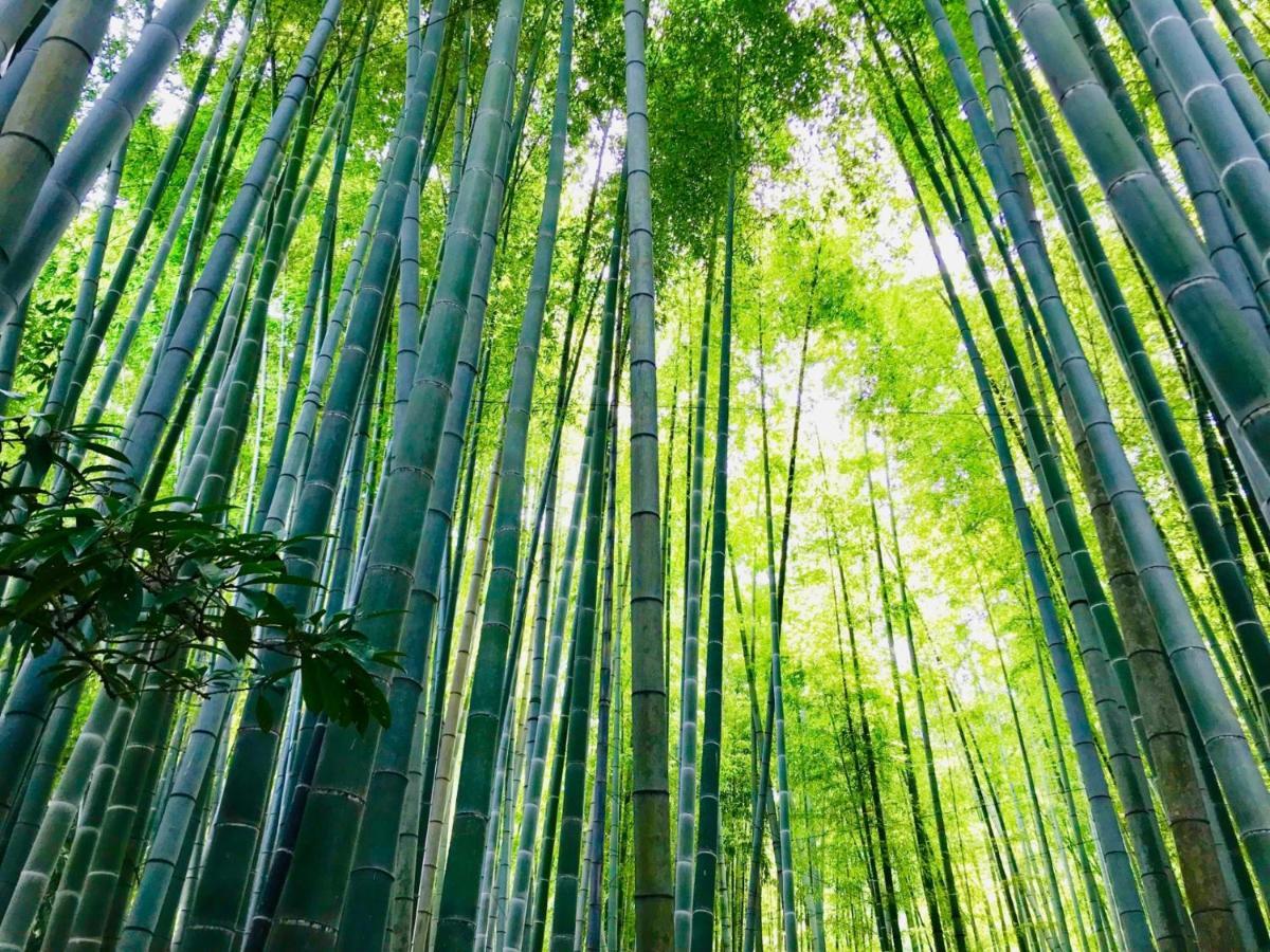 Hotel Kamakura Cocon Zewnętrze zdjęcie